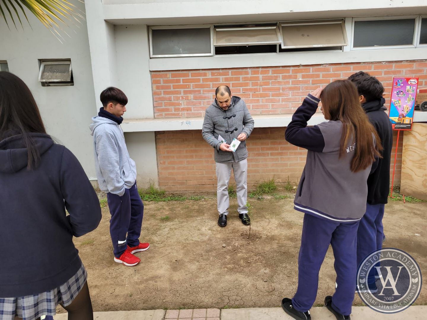 08 (Copiar)