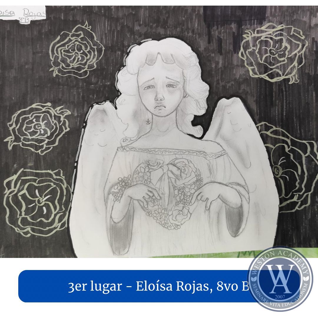 03 (Copiar)