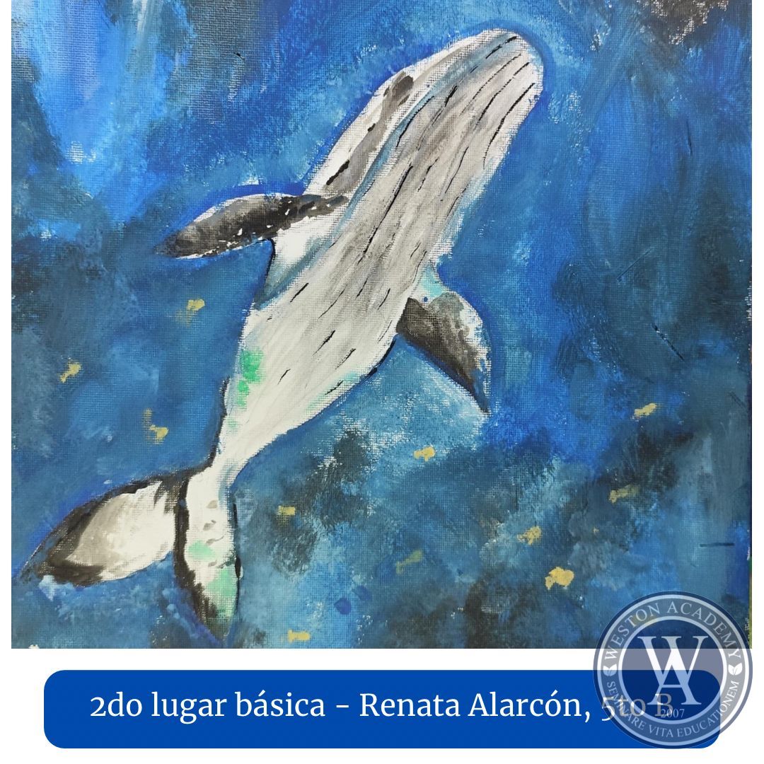05 (Copiar)